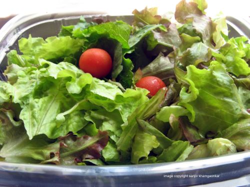 salad-2-small1