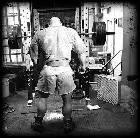 Bodybuilding8