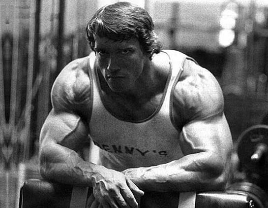 Arnold-Schwarzenegger[1]