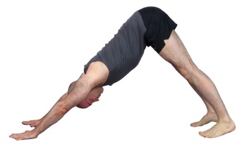 Downward-Facing Dog