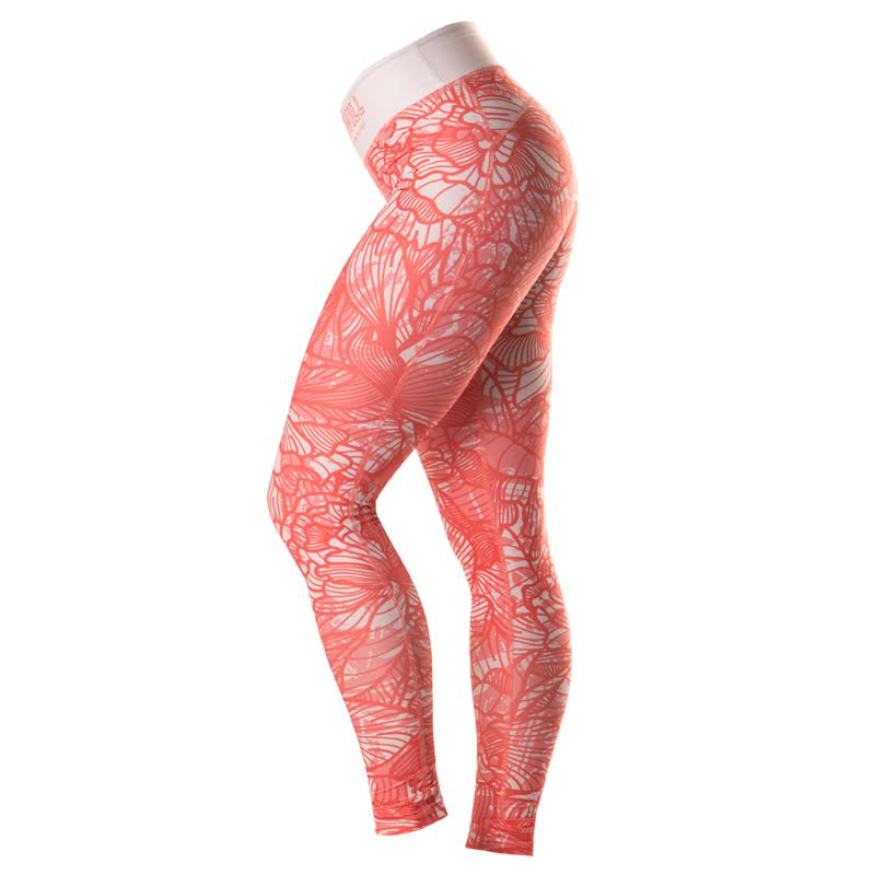 coral3-800x800