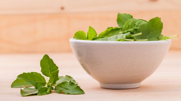 basil-cover_625x350_61446529080.jpg