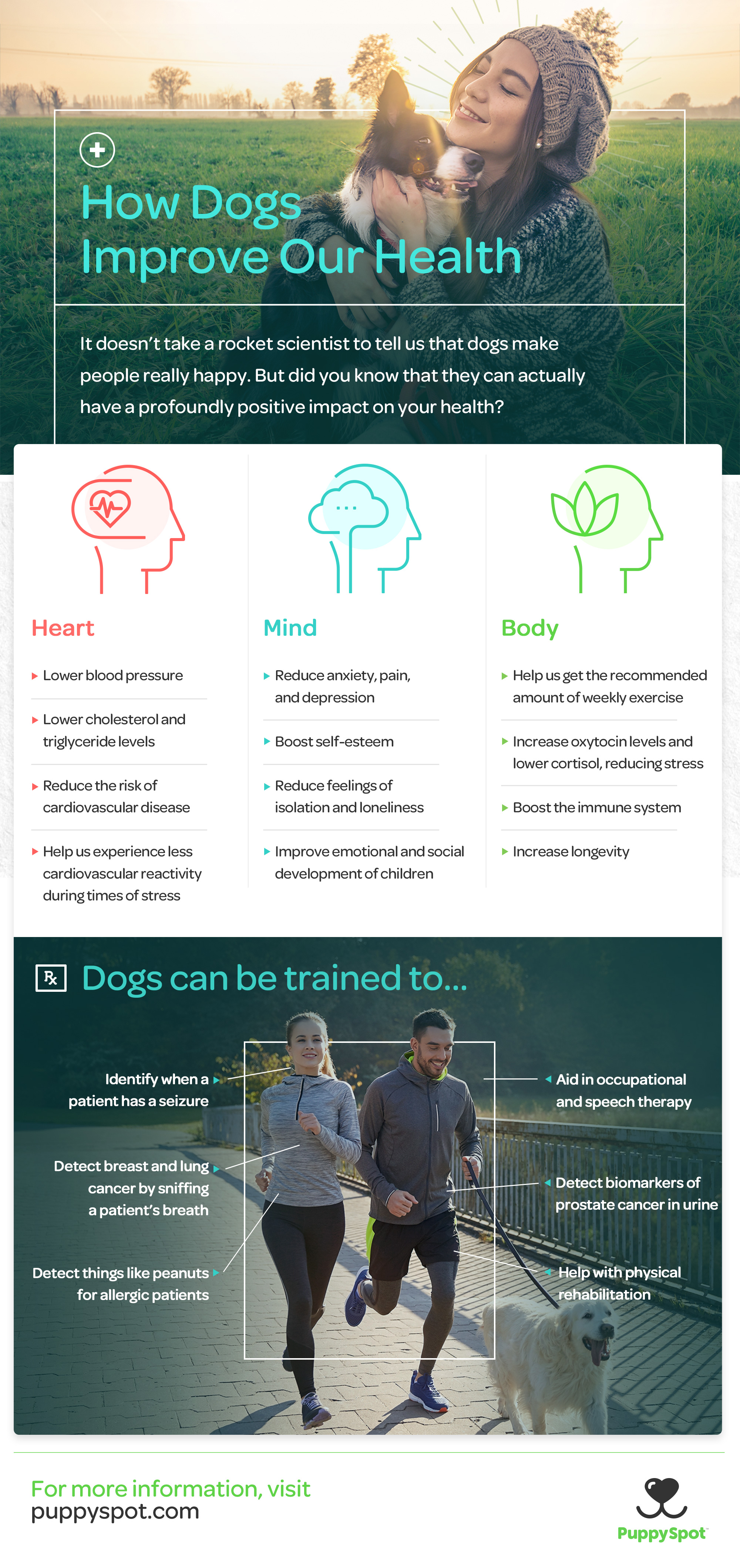 puppyspot_dogs_health_2000px