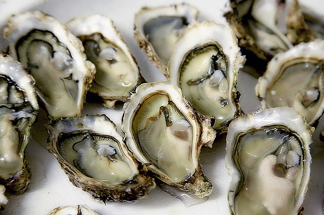 oyster-1522835_640