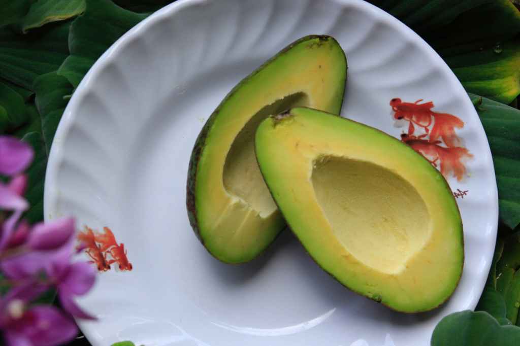 Is Avocado Oil Better Than Olive Oil?