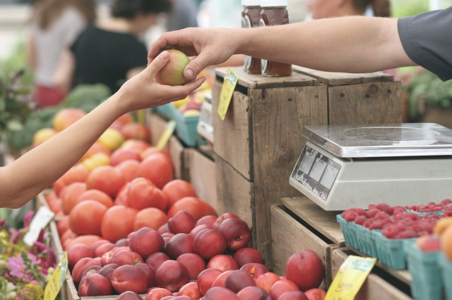 5 Simple Rules of Eating While On A Budget for Those Who Hate To Cook
