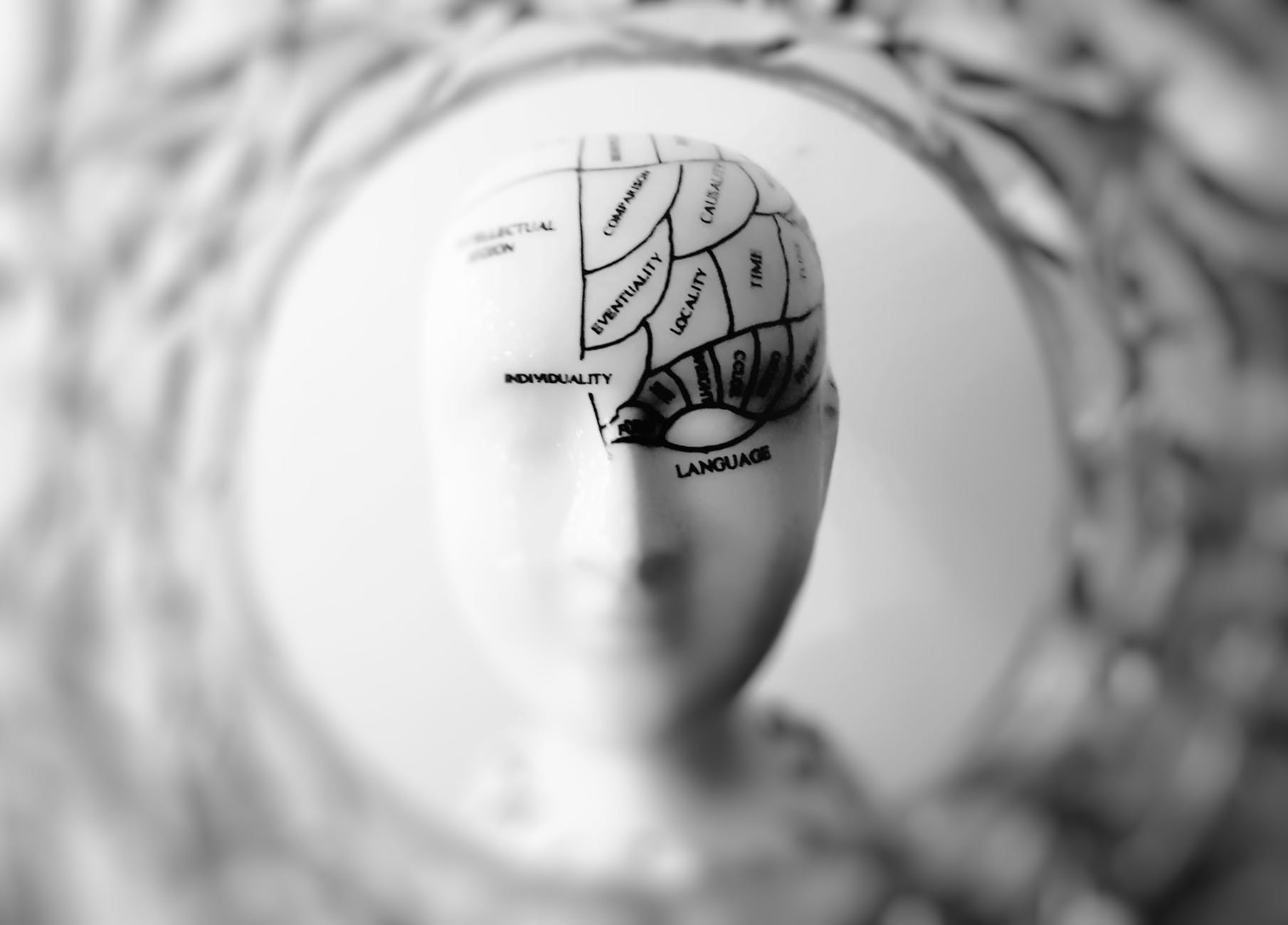 You Suffered a Concussion In the Recent Past
