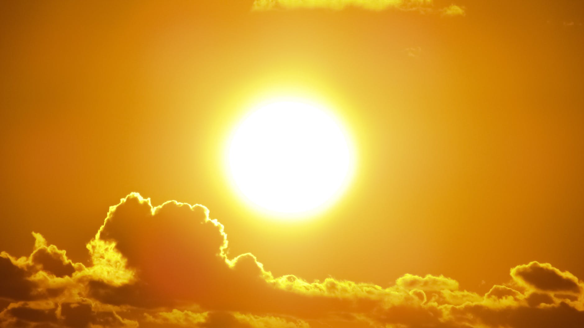 Vitamin D