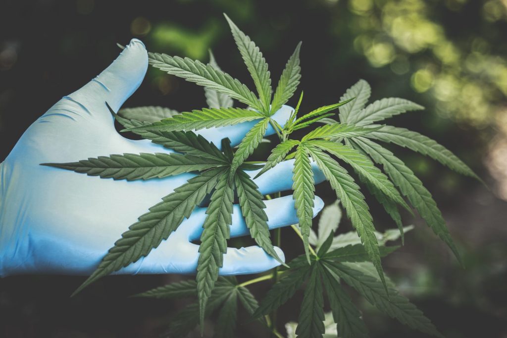 CBD For Anxiety: This Is What You Need To Know